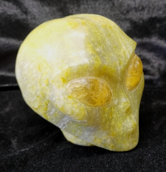 Alien Skull Serpentin Marble